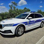 Žena osuđena zbog udarca partnera protezom i pogodila ga ciglom
