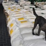 Kolumbijska policija zaplijenila 7,6 tona kokaina u luci