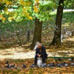 Jesenje fotografije donose posljednje zrake sunca i najavljuju maglovite dane