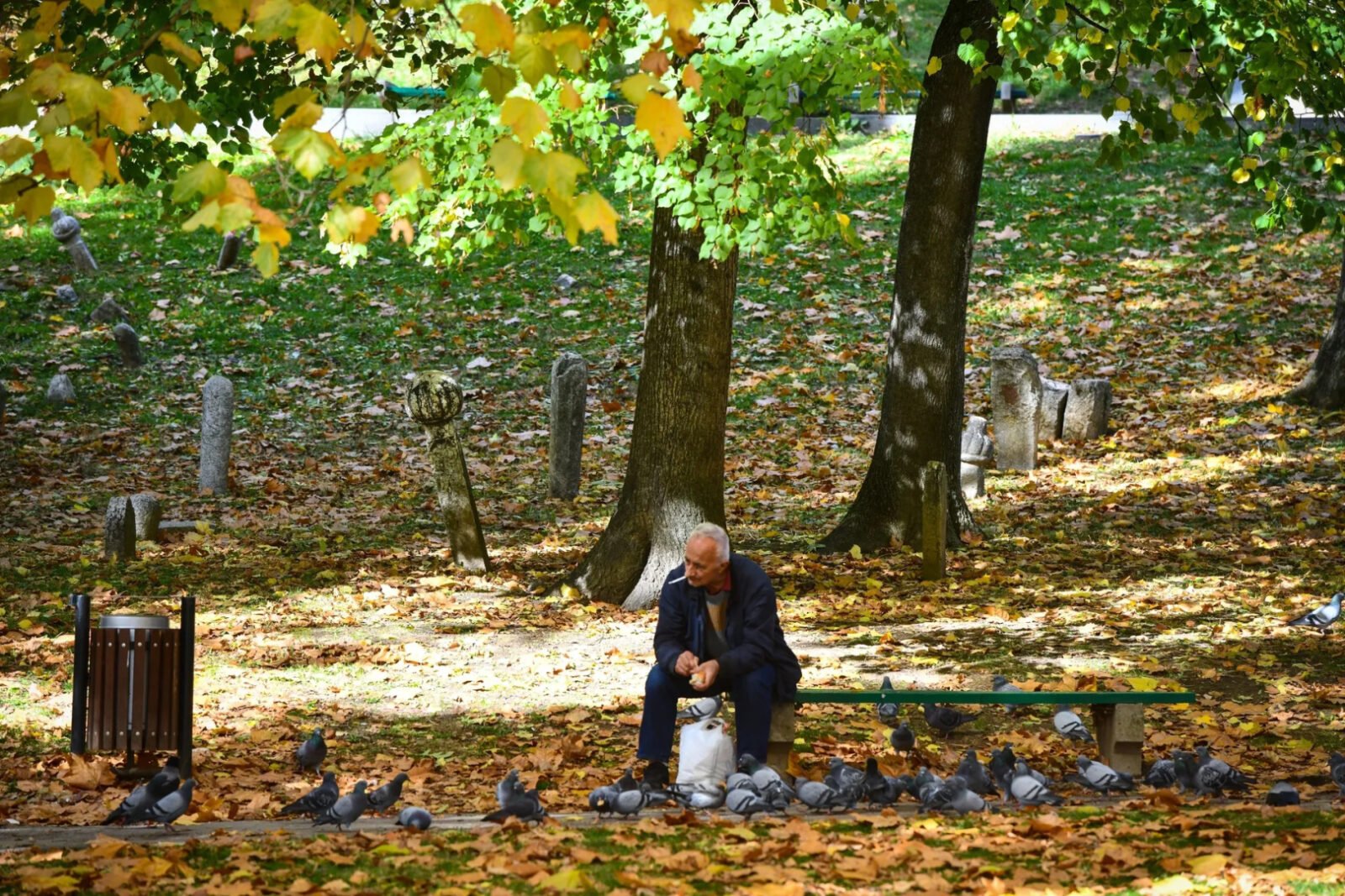 Jesenje fotografije donose posljednje zrake sunca i najavljuju maglovite dane