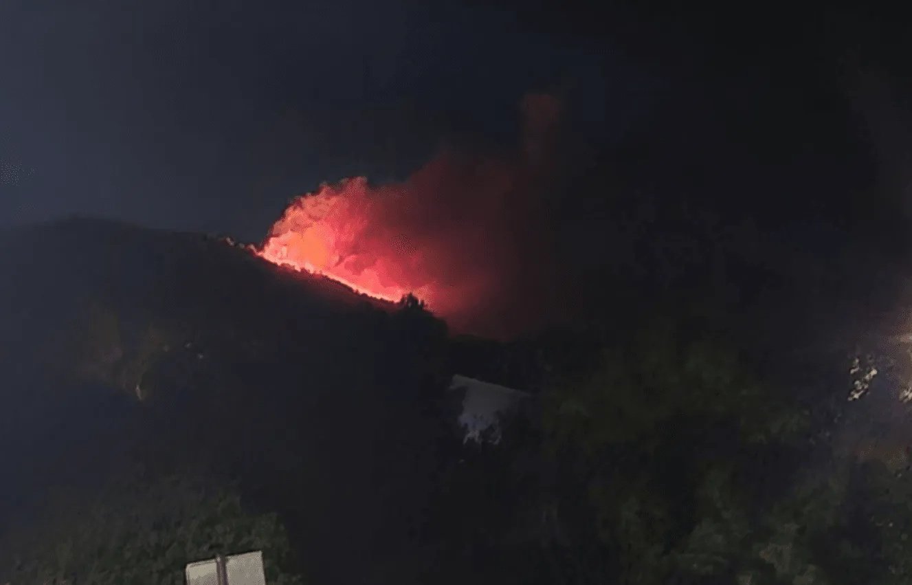 Veliki šumski požar izbio u blizini Dubrovnika, vatrogasci počeli s gašenjem