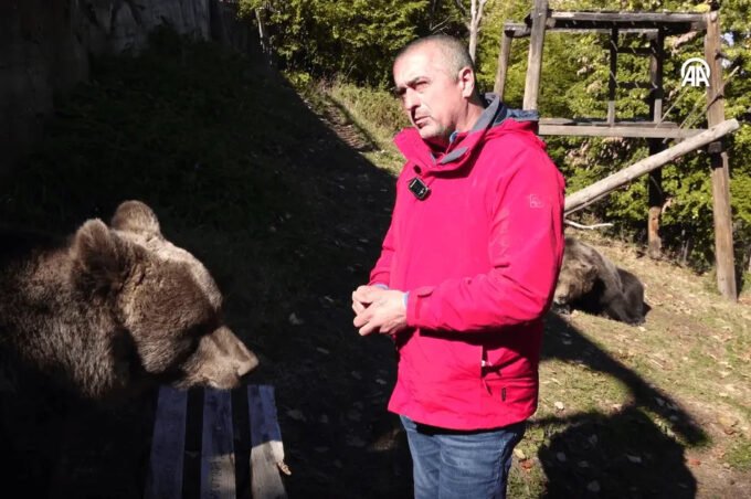 Medvjedice Maša i Ljubica našle dom na Ozrenu i uživaju u bombonama i pizzi