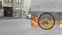 Policija uklonila bombu ispred dopisništva RTV HB u Kiseljaku