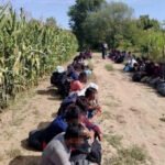 Evropska unija usvojila stroža pravila za migrante i centre za povratak