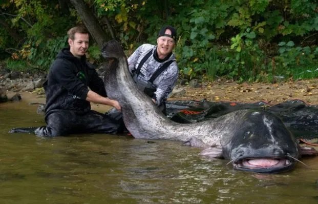 Čovjek postavio svjetski rekord ulovom najdužeg soma na svijetu