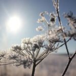 BH Meteo najavljuje vremenske uslove za sutra, moguća pojava mraza