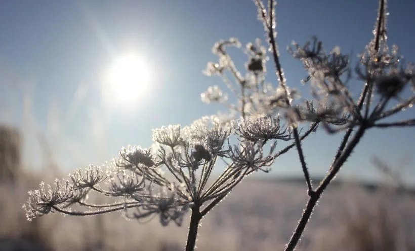 BH Meteo najavljuje vremenske uslove za sutra, moguća pojava mraza