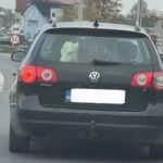 Tele vozilo na zadnjem sjedištu automobila Passat na bh. putevima