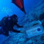 Otkrivene drevne amfore koje su more čuvale 4.700 godina